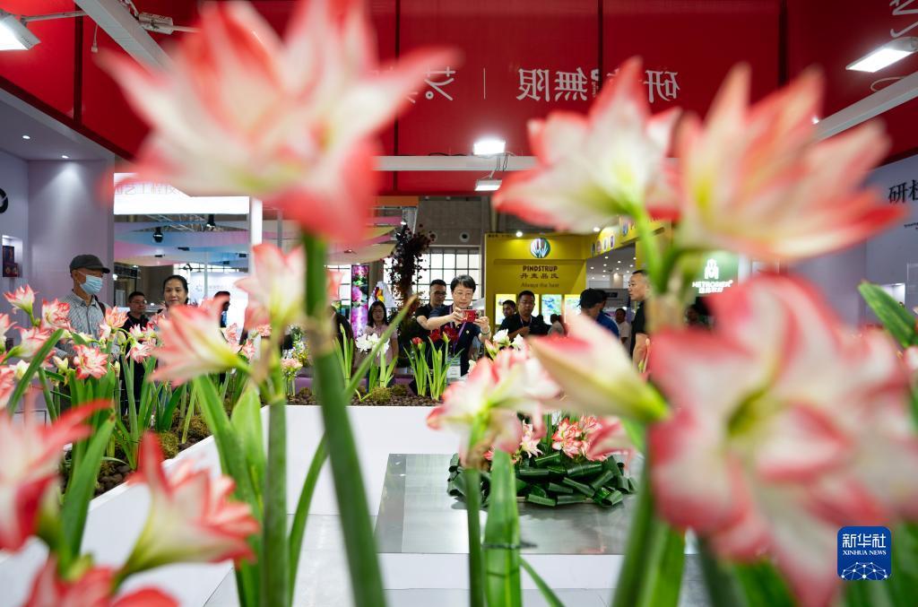 娱乐电子游戏平台网址
